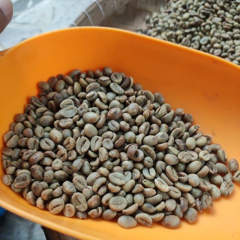 

Biji kopi Robusta grade 1