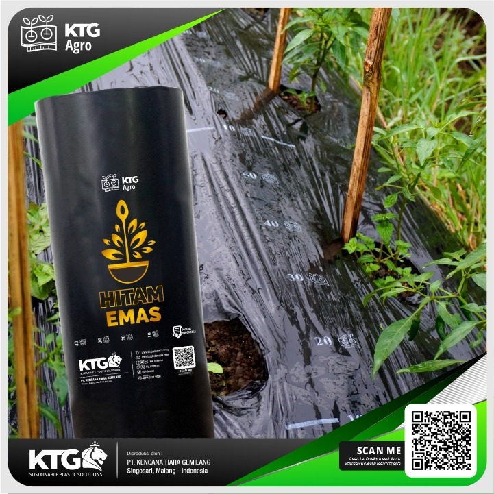 KTG Agro Mulsa Hitam Emas