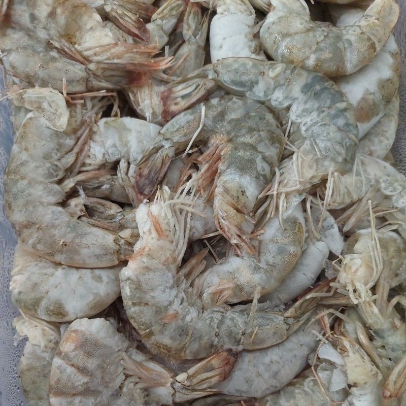 

Udang tanpa kepala 200g