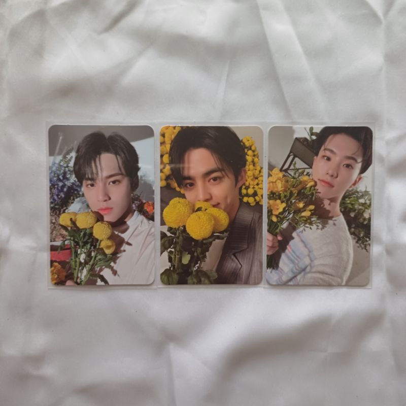 pc seventeen scoups mingyu hoshi one side your choice