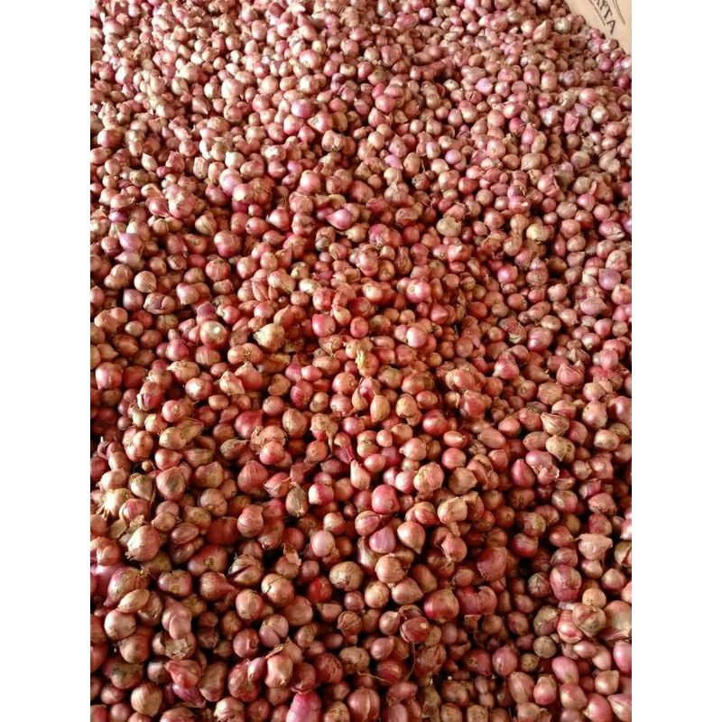 

bawang merah kecilan 1000 grm