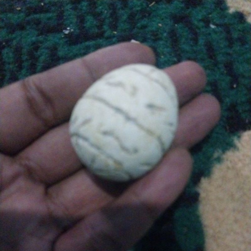 batu kucluk buatan bentuk telur kaligrafi arab