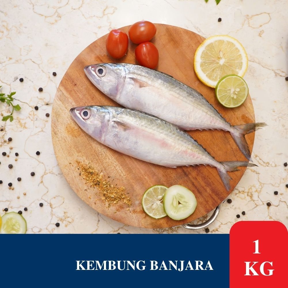 

Ikan Kembung Banjara 1 Kg / Ikan Kembung Banjar Banjar Bersih - Ikan Segar Makassar