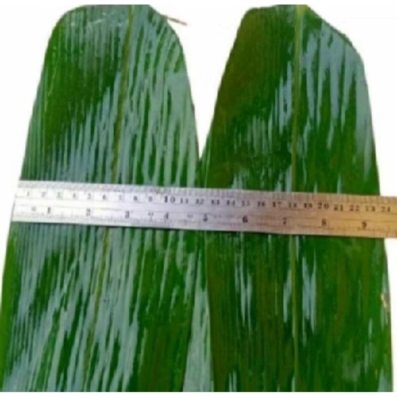

daun bambu bungkus bakcang terlaris 100 lembar (petik dadakan)