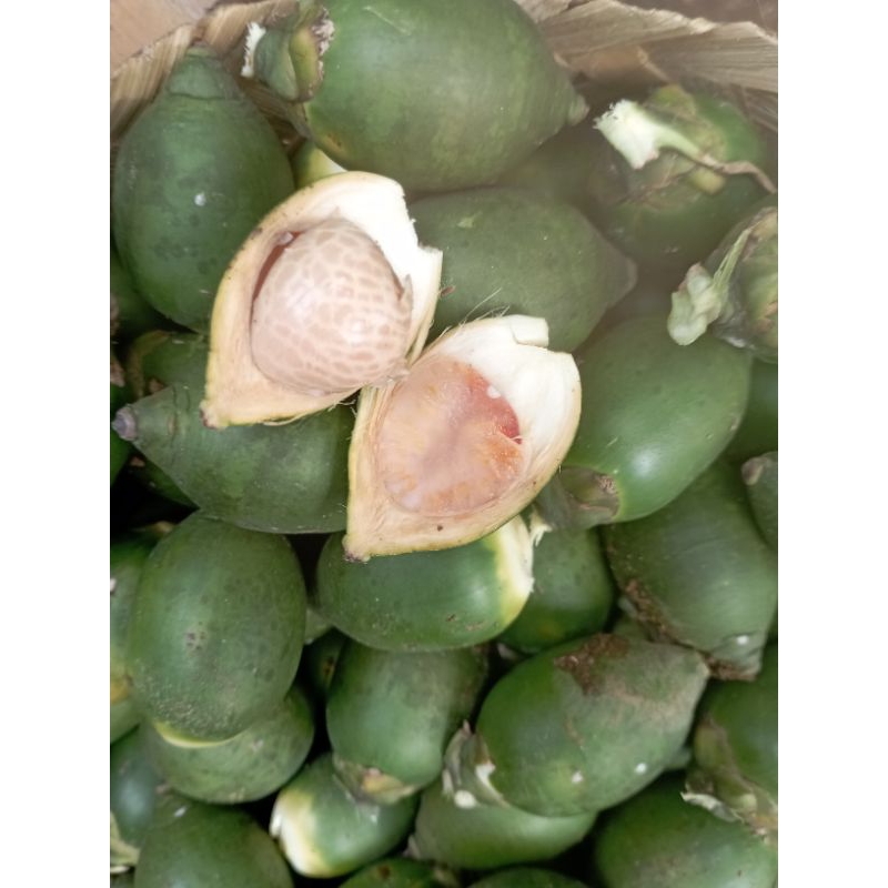 

BUAH JAMBE MUDA / PINANG MUDA ASLI 1kg