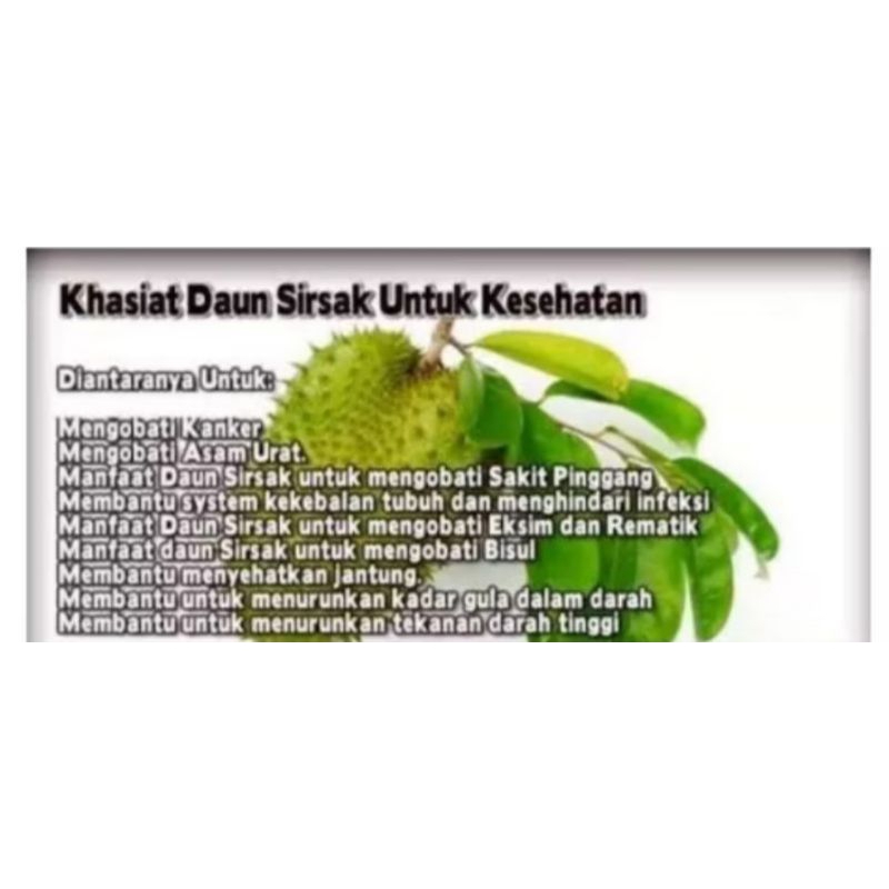 

DAUN SIRSAK 500g