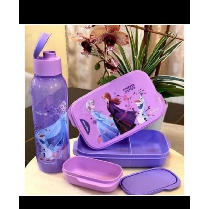 frozen lunch set tupperware