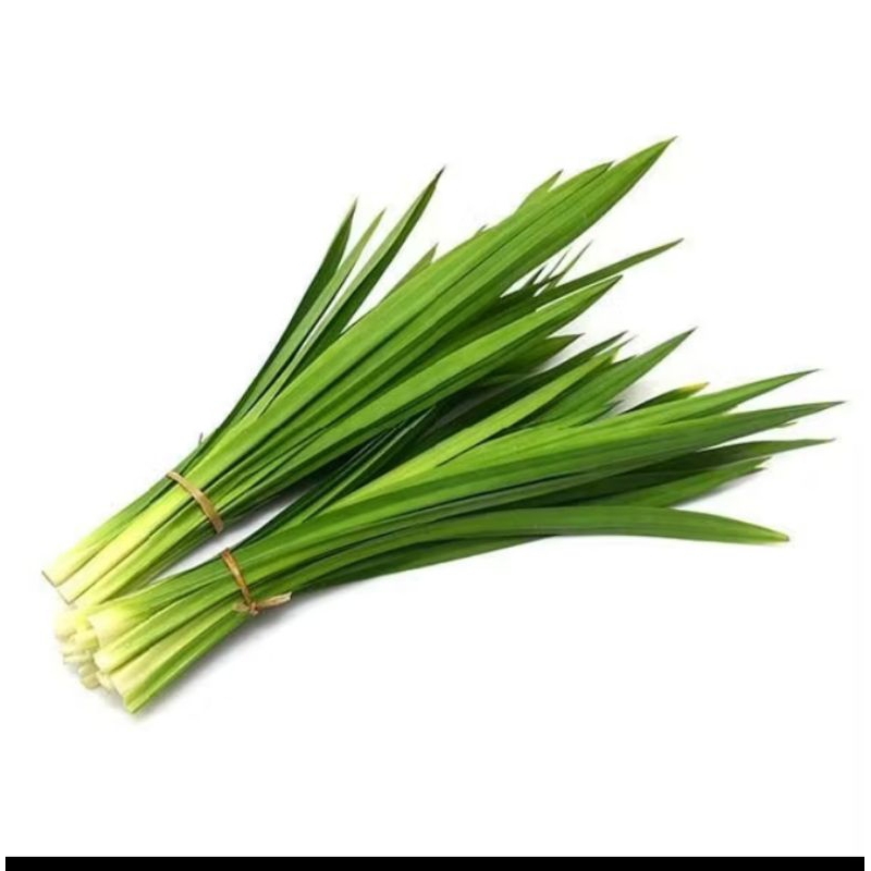 

daun pandan segar 1 ikat kecil