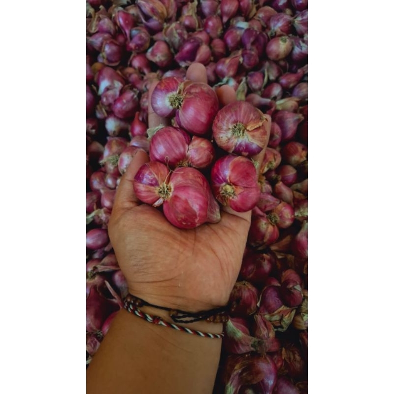

Bawang Merah super 1 Kg