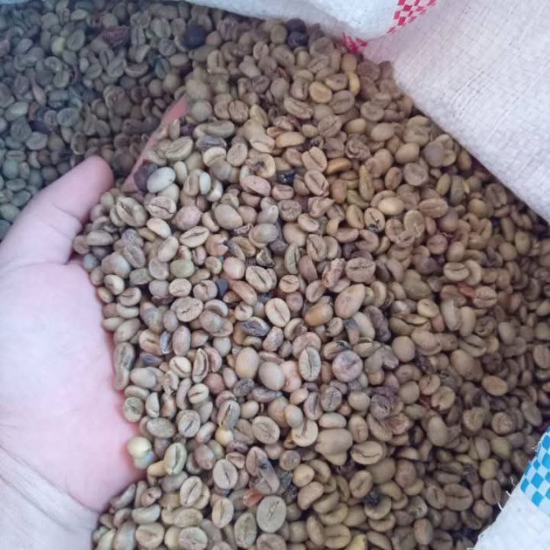 

kopi robusta kerinci kopi mentah / biji kopi mentah
