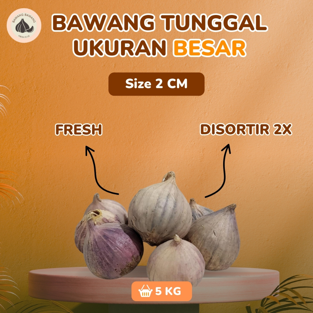 

5 KG PAKET Bawang Putih Tunggal Lanang BESAR Ukuran 2 Cm ok8!