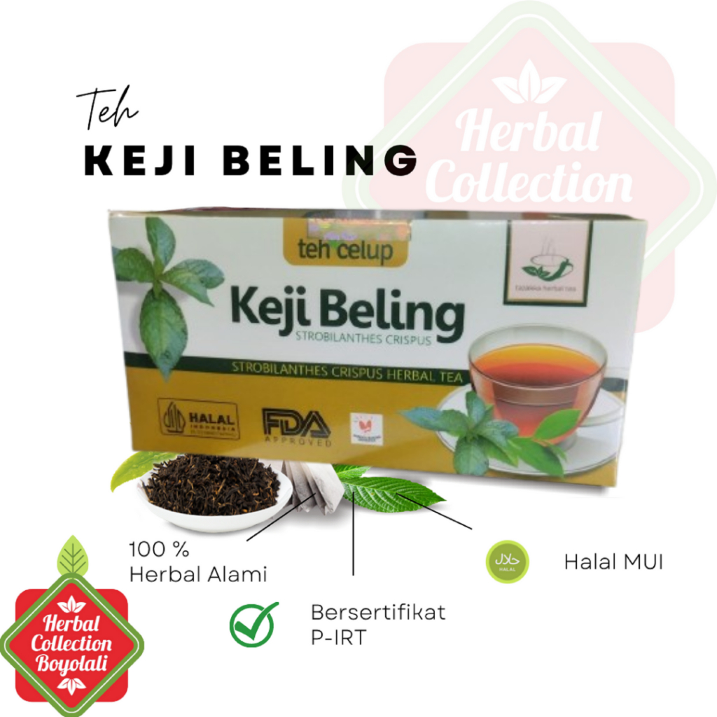 

Teh Herbal Keji beling Tazakk untuk melancarkan saluran kemih atau kencing BAK alami Halal Isi 20 Tea Bag