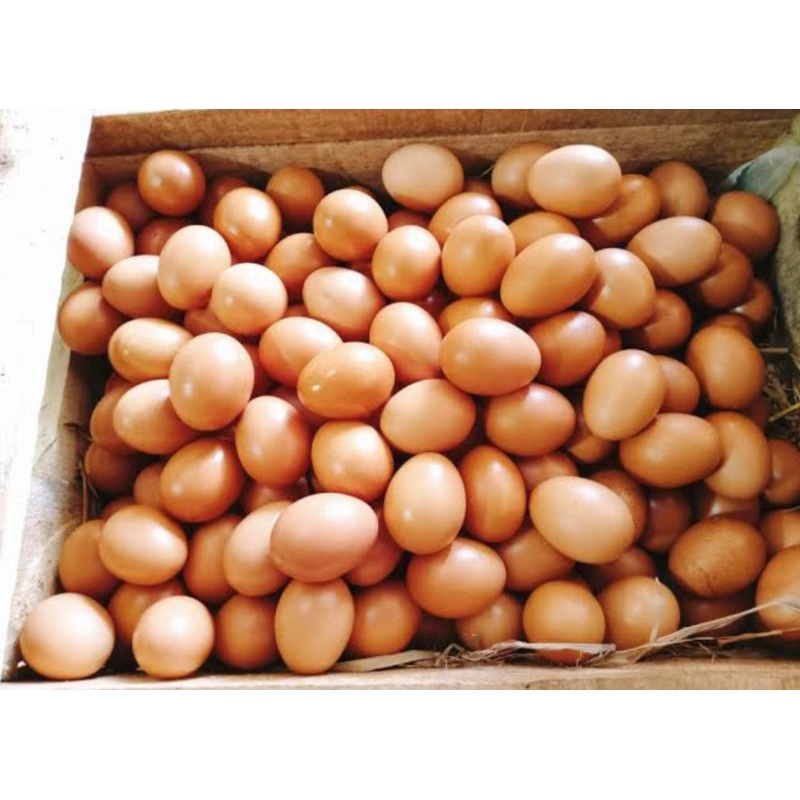 

telur ayam ras asli per butir