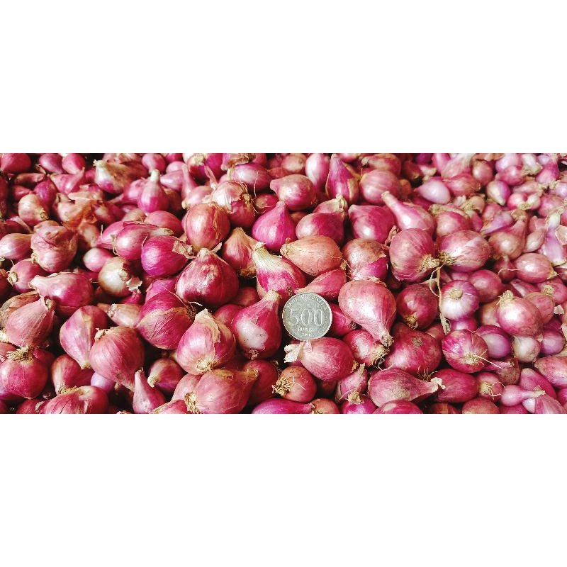 

Bawang merah Brebes kualitas super