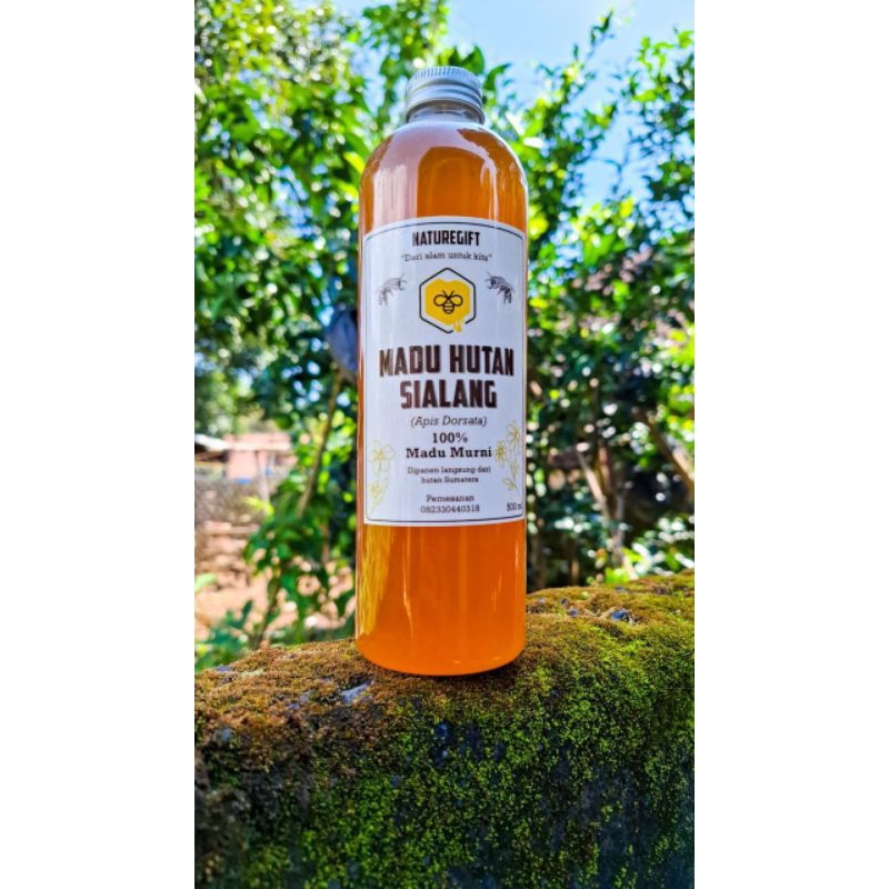 

Madu Hutan Liar | Madu Sialang – Murni 100% Apis Dorsata | Naturegift