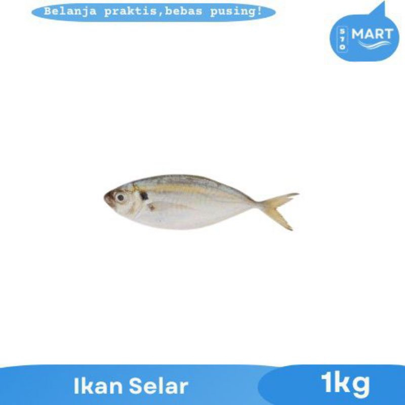 

ikan selar segar beku 1kg