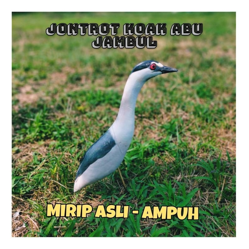 PATUNG JONTROT BURUNG KOAK ABU JAMBUL - JONTROT BURUNG KOAK ABU JAMBUL