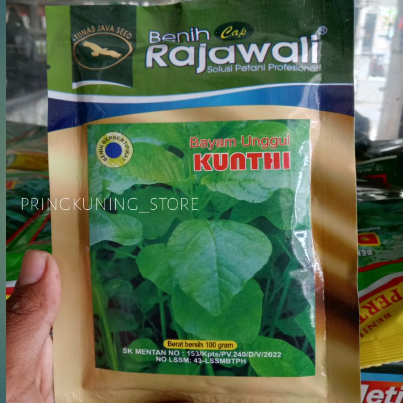 BENIH BAYAM  KUANTHI RAJAWALI / BIBIT BAYAM RAJAWALI ORIGINAL 100gr