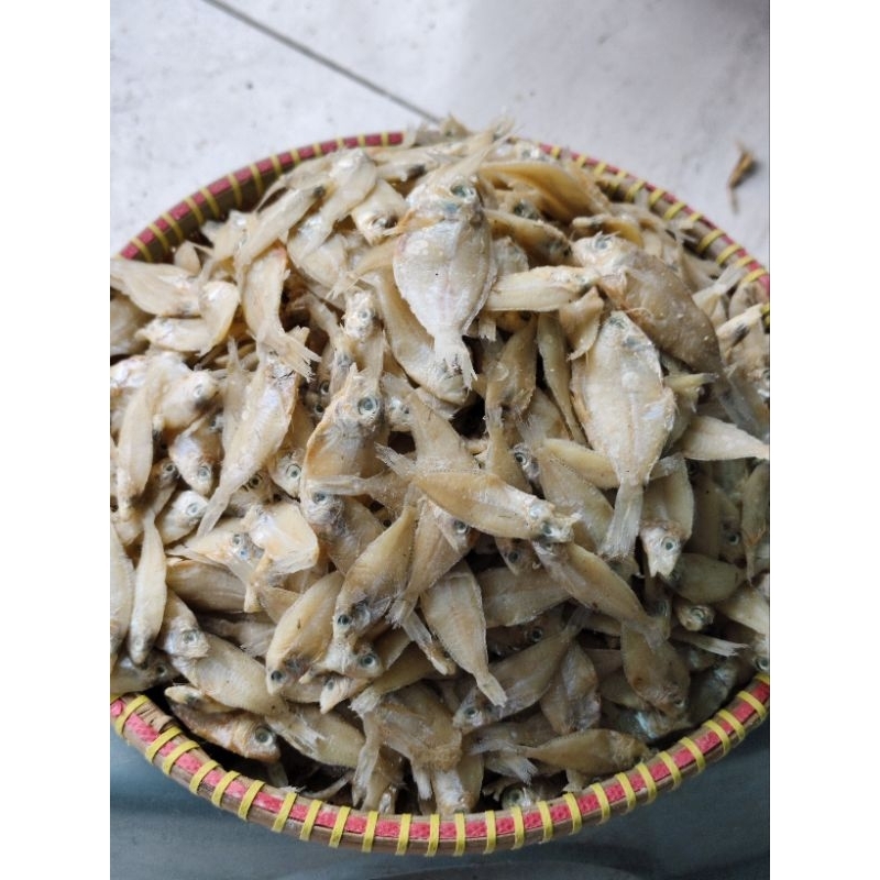 

ikan asin kapasan utuh kering