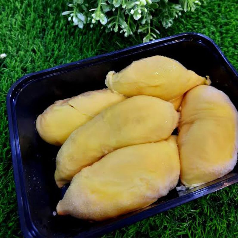 

Durian montong Palu parigi Grade AA premium