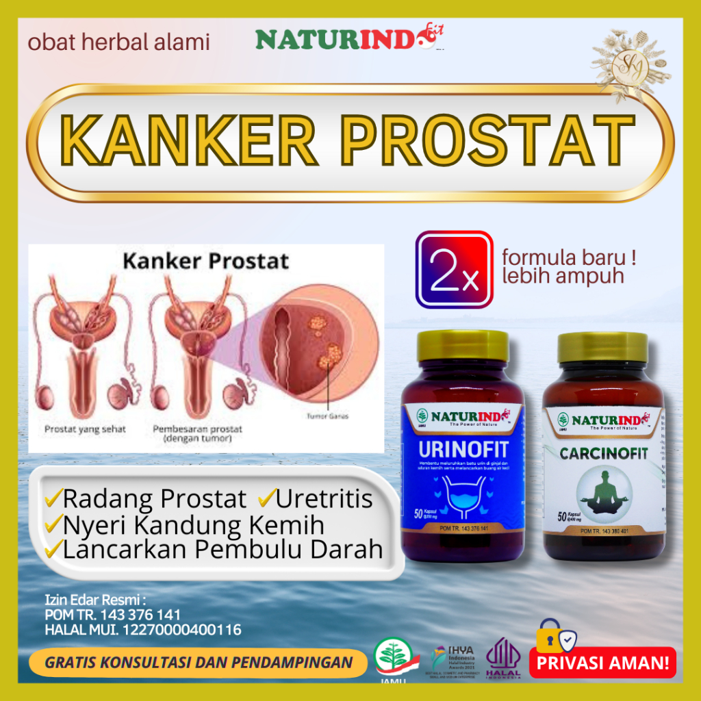Obat Prostat Herbal Kanker Prostat Nyeri Panggul Obat ISK Disfungsi Ereksi Ampuh Urinofit Naturindo