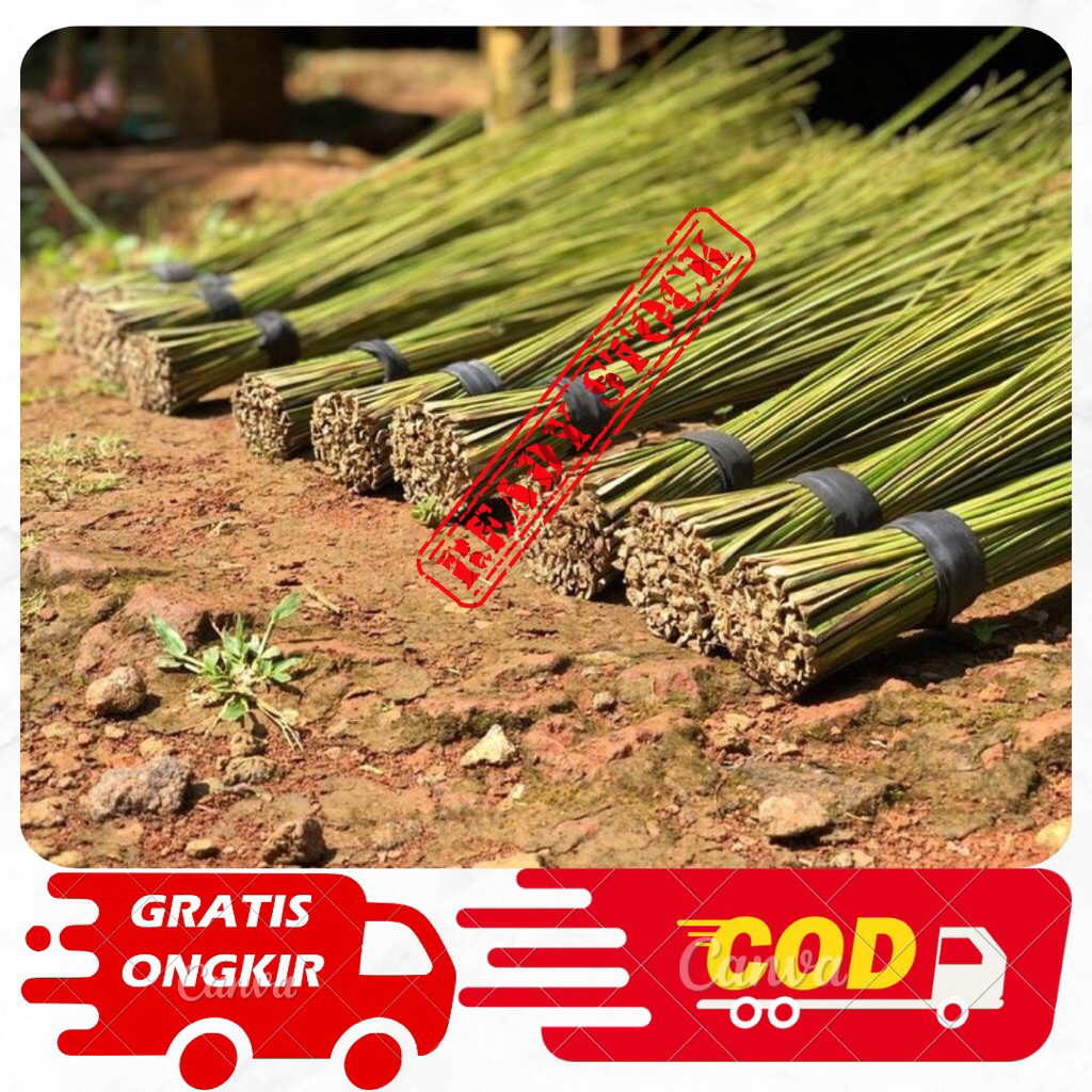 Paket 5 Sapu lidi aren asli/ Sapu lidi Aren