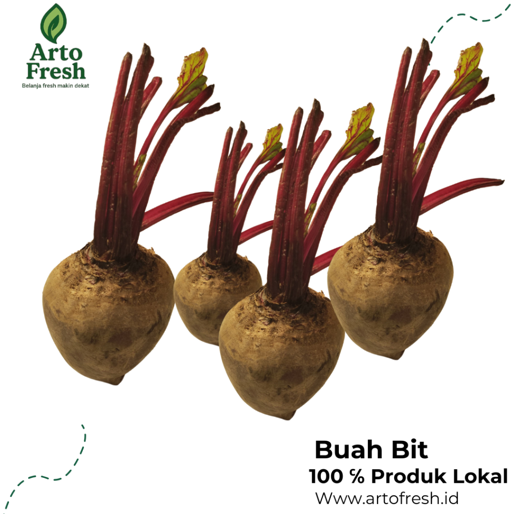 

Buah Bit, Segar ArtoFresh