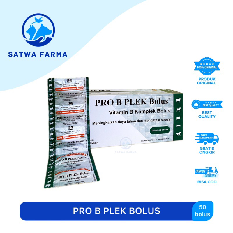 PRO B PLEK Bolus Vitamin B Komplek / Vitamin Daya Tahan Tubuh Hewan