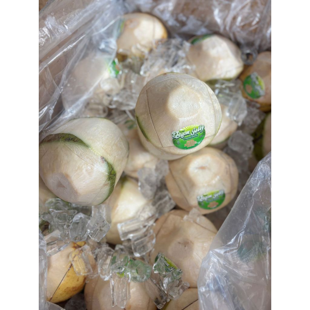 

Kelapa Jelly