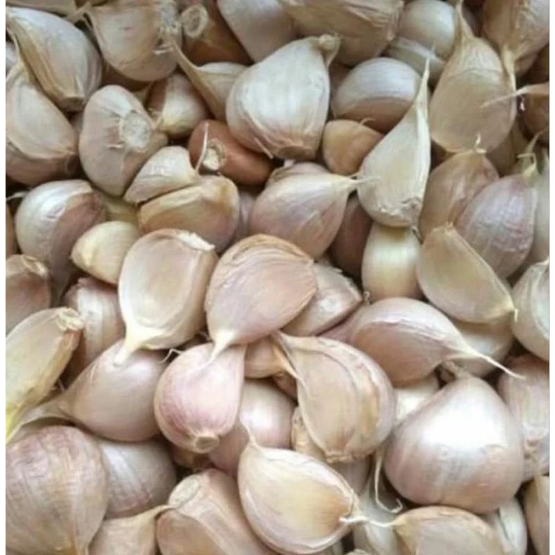 

[PS] Bawang Putih Kating