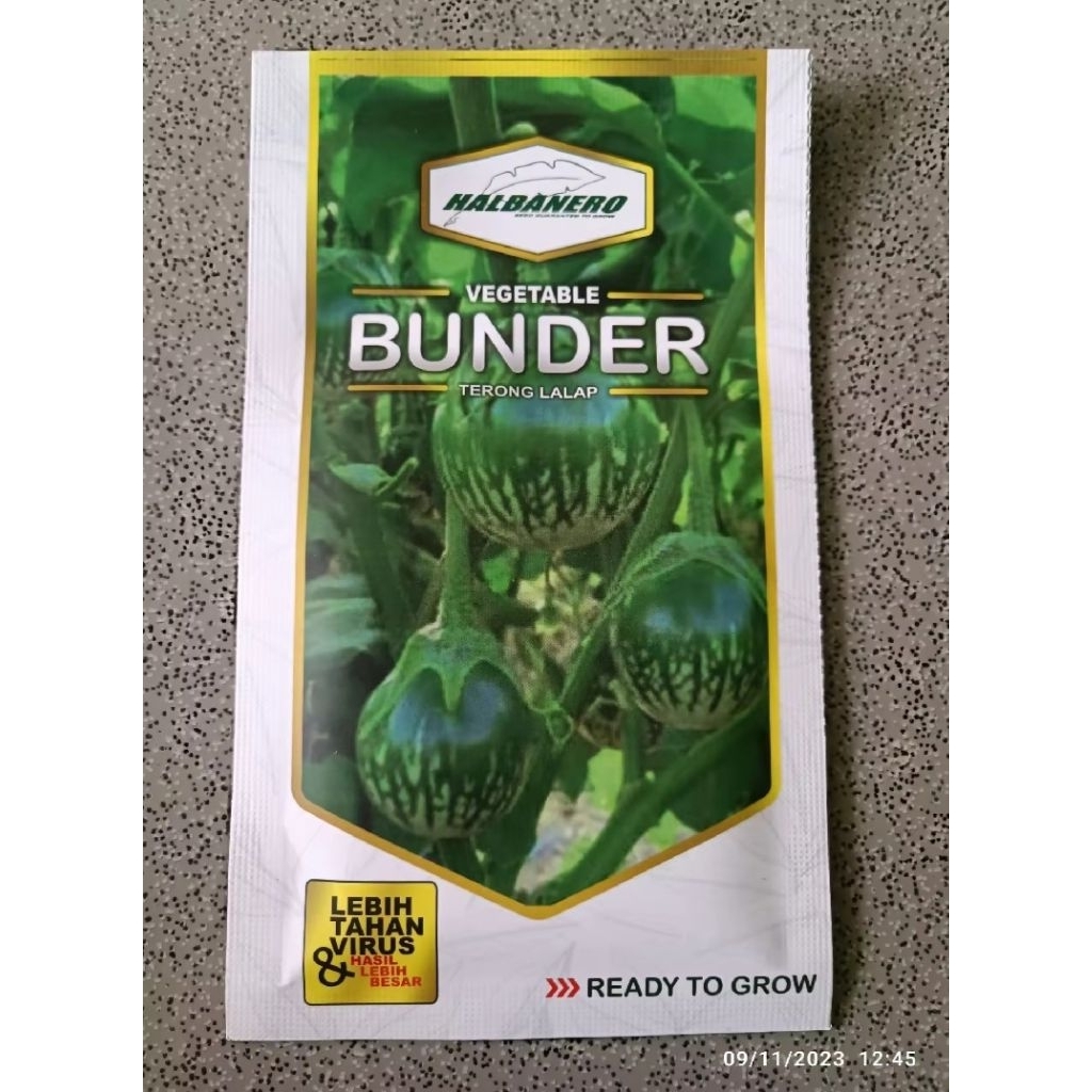 Benih Terong Lalap Hijau BUNDER 10gr halbanero