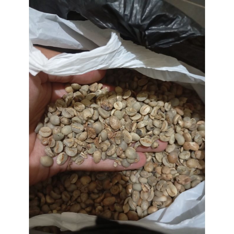 

Green Bean Kopi Arabika