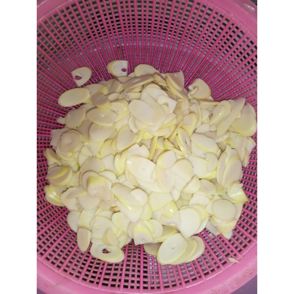 

Rebung Fress Tinggal Di Masak