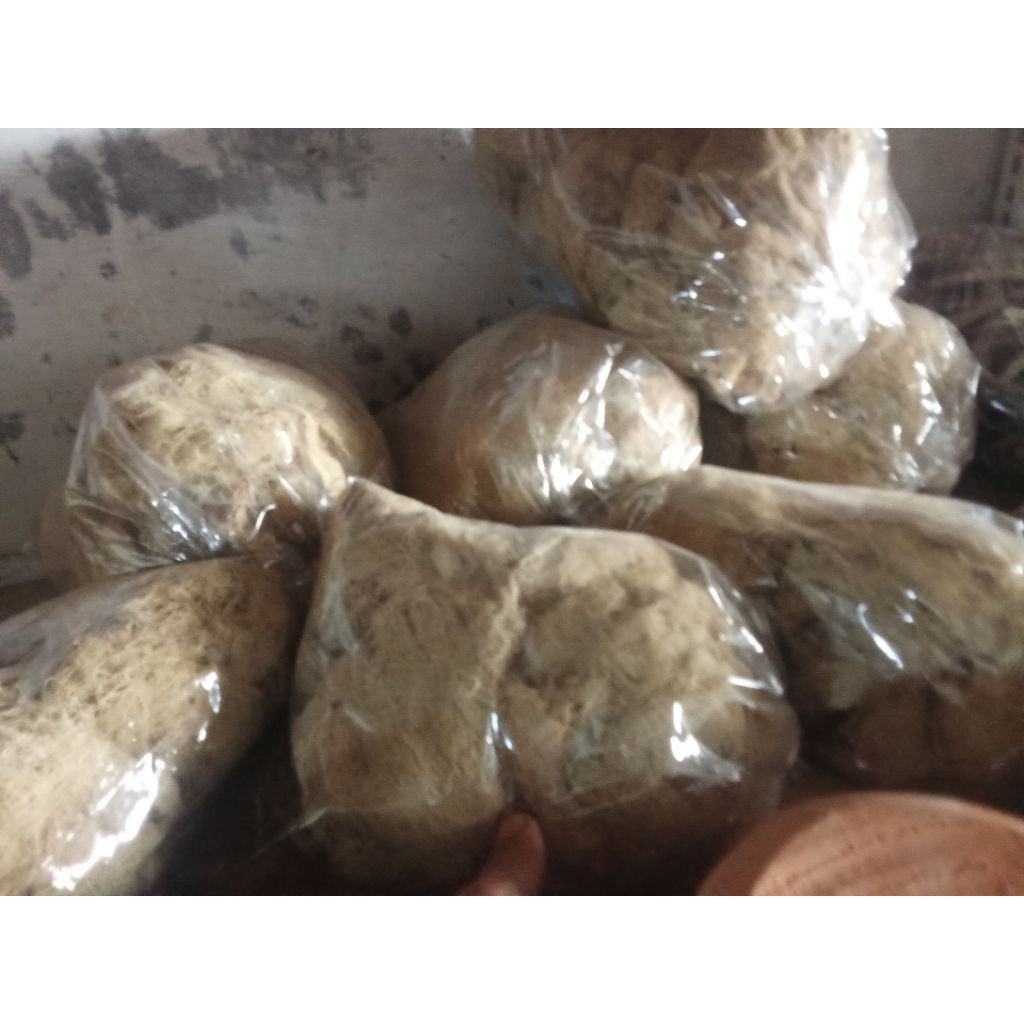 

KAYU ANGIN PER 1 BUNGKUS