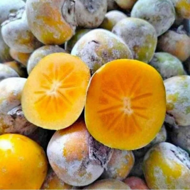 BUAH KESEMEK SEGAR 1 KG / BUAH PERSIMMON