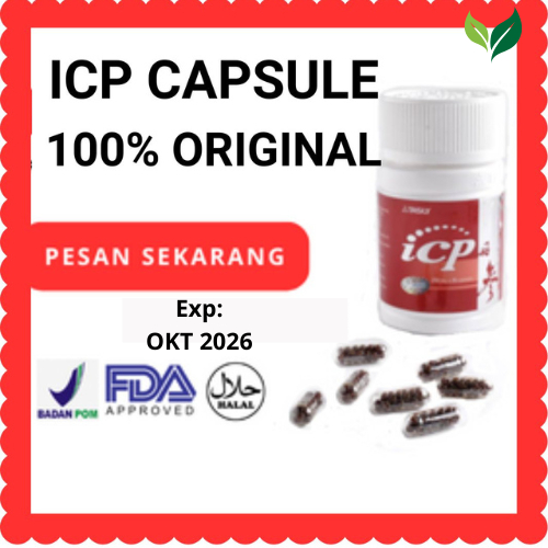 

[Ready] ICP Capsule Original Herbal Penyumbatan Jantung Stroke