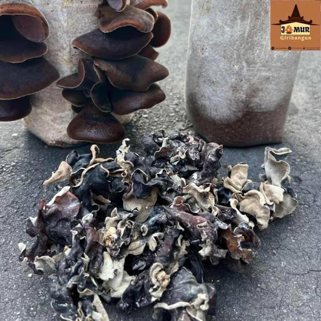 

PROMO !!! JAMUR KUPING KUALITAS TERBAIK MIX BESAR SEDANG BERAT 4 KG, BISA COD
