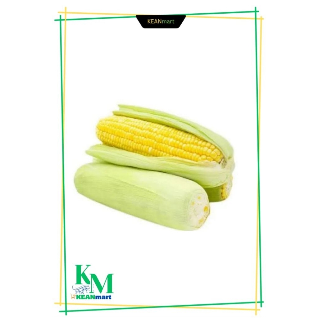 

jagung manis 1 pak isi 2/3
