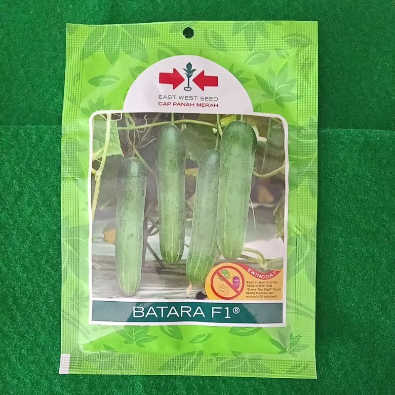 Bibit Mentimun Batara F1 Cap panah merah