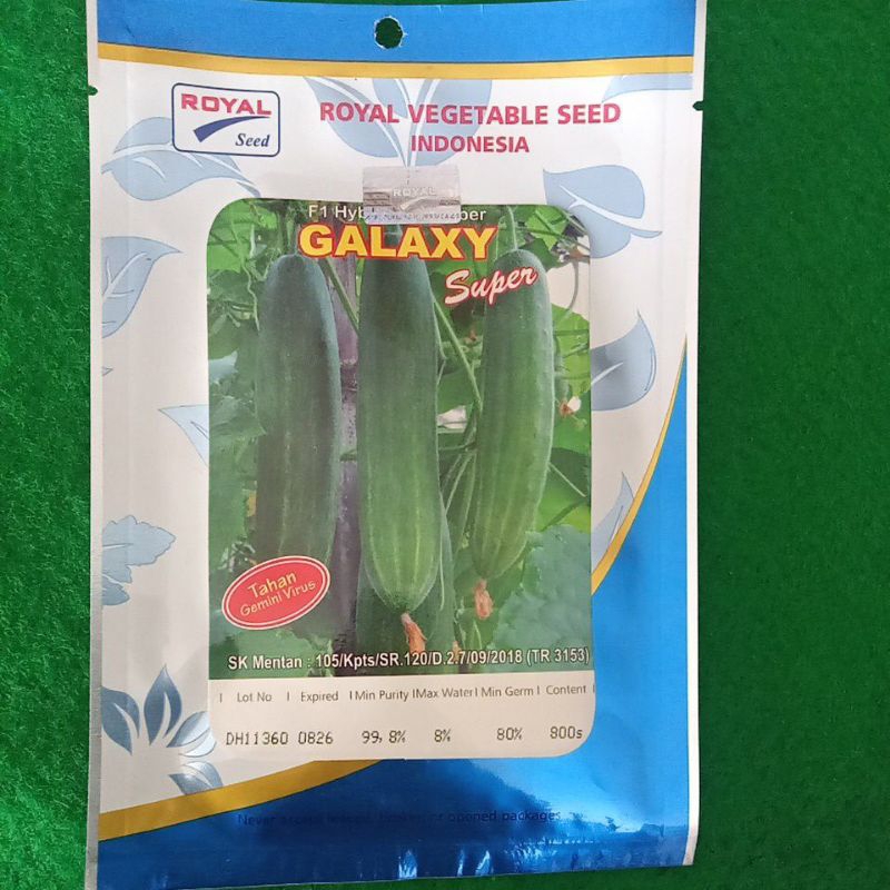 Galaxy super Bibit Mentimun 800 butir