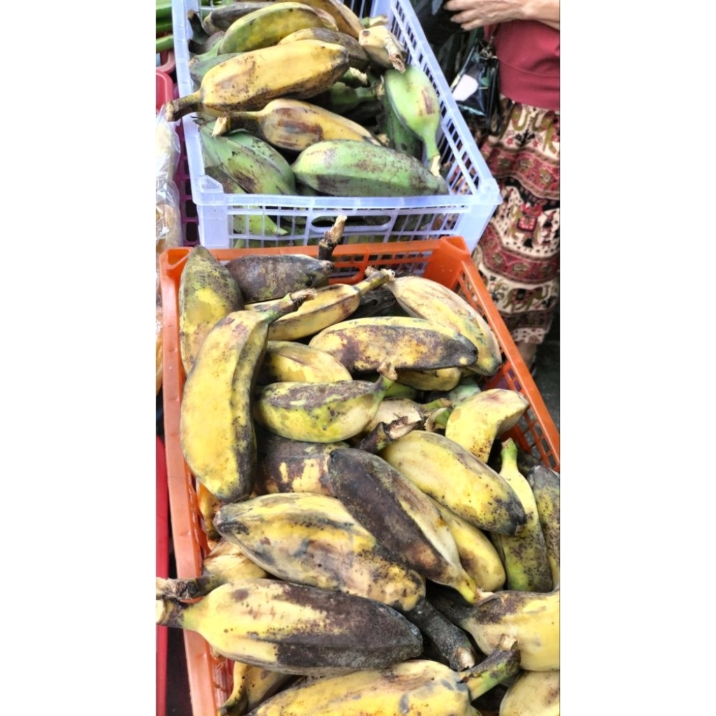 

PISANG KEPOK SUPER KALIMANTAN MANIS LEGIT