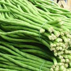 

Kacang Panjang 250Gr