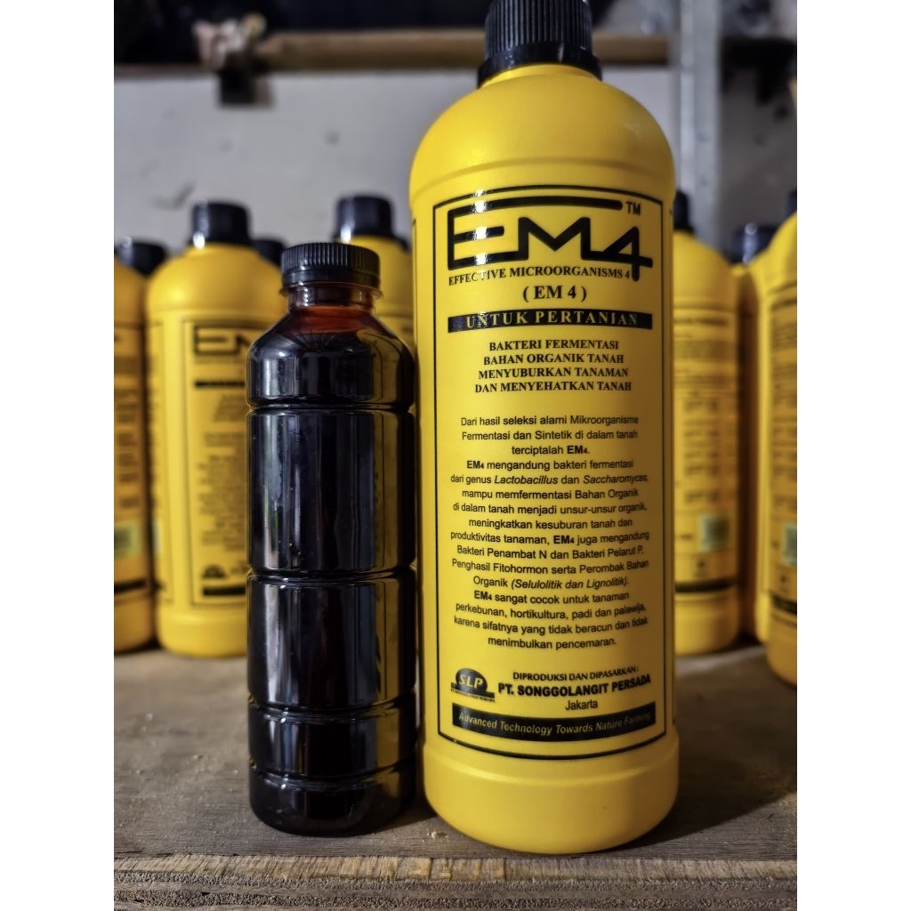 molase em4 pertanian tani untuk pupuk tanaman kompos