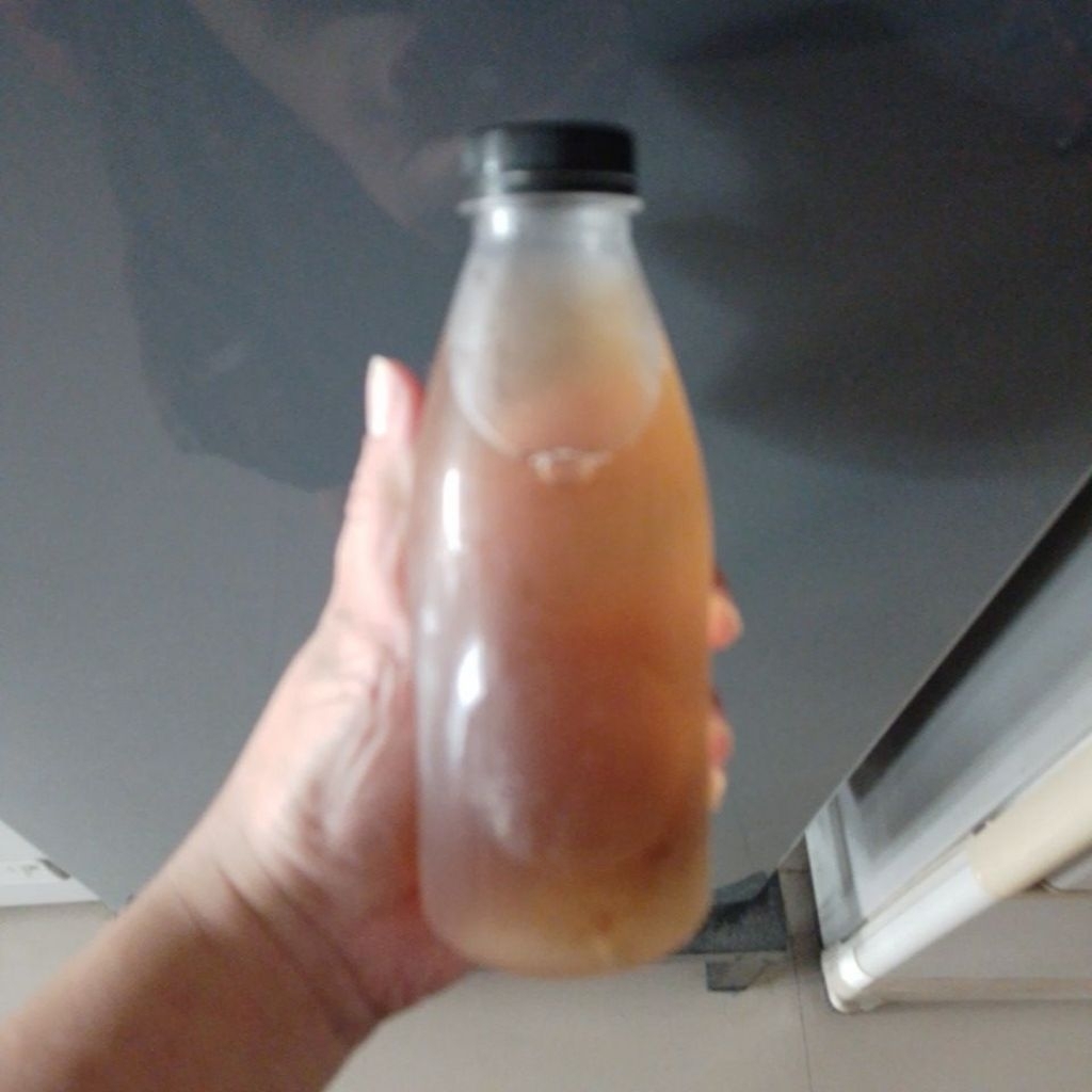 

Teh Kombucha