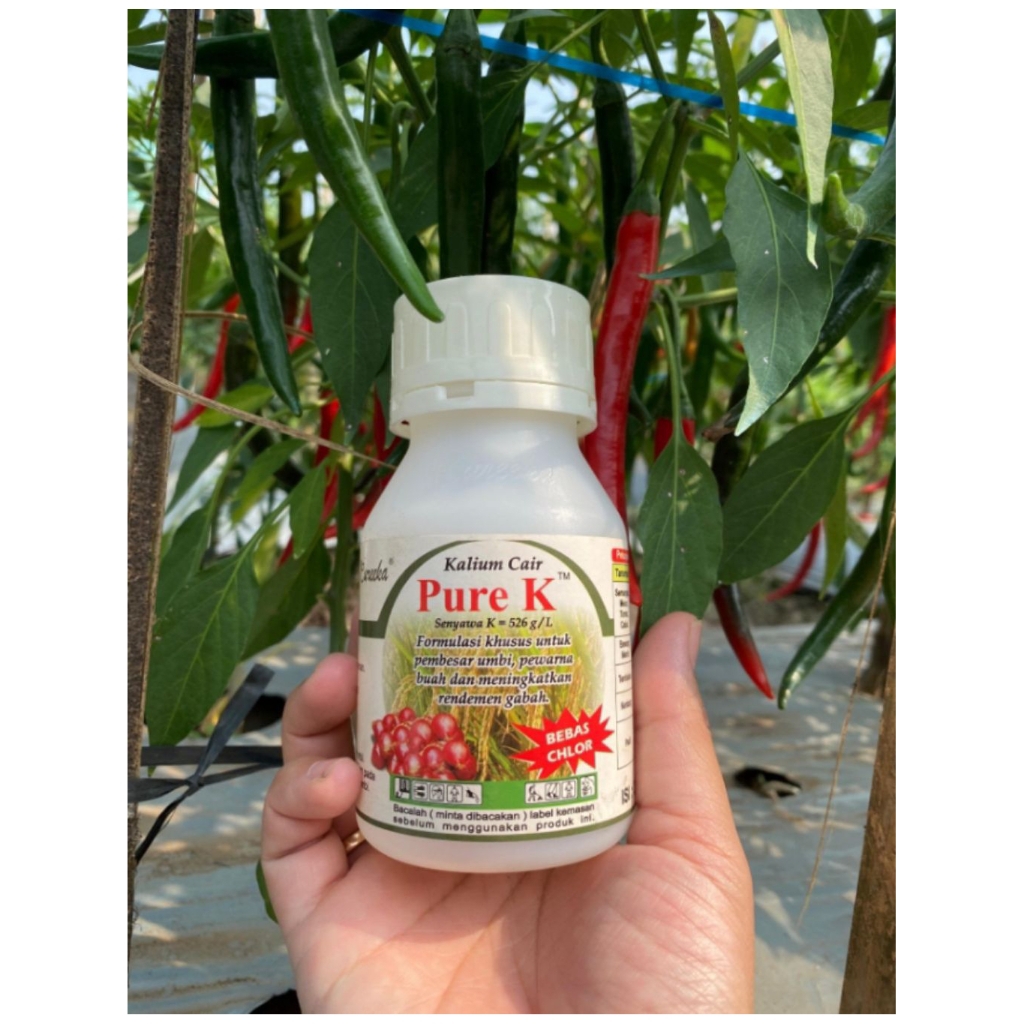 PURE K 526 250Ml | Kalium cair | Eureeka