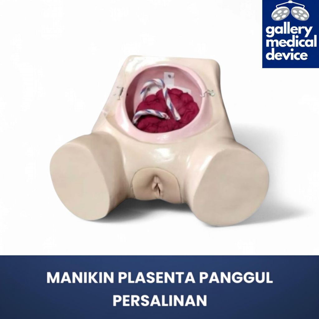 PHANTOM MANIKIN PLASENTA PANGGUL PERSALINAN/MANIKIN PANGGUL MANUAL PLASENTA