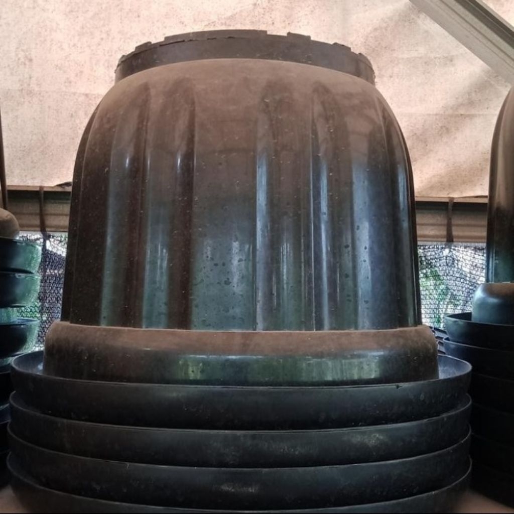 pot plastik hitam diameter 50 cm