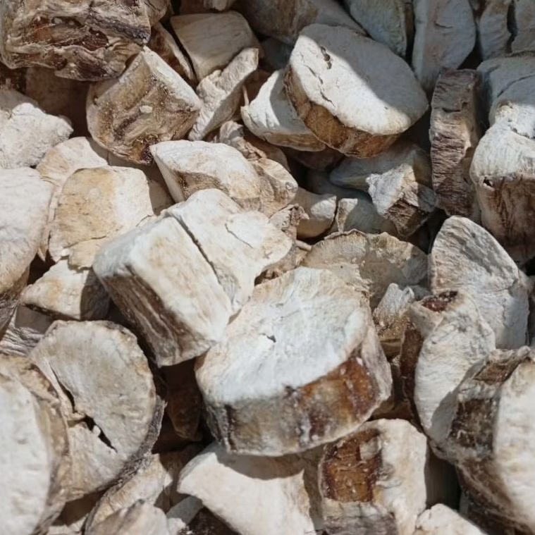 

Singkong Kering Gaplek