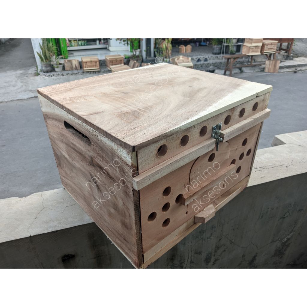 Gupon pagupon tong kandang merpati pagupon ternak burung merpati