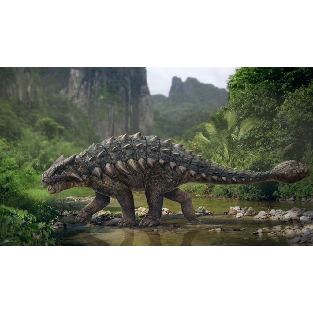 Mainan bekas/second karet Dinosaurus Ankylosaurus